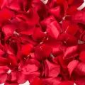 Лепестки роз красные 5 литров/ Лепестки роз/ Доставка букетов по Москве