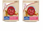 Сухой корм Purina ONE мини Взрослая для собак мелких пород, с говядиной и рисом, 600 г, 2 шт