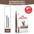 Сухой корм для кошек Royal Canin Gastrointestinal ветеринарный, при расстройствах пищеварения, 2 кг