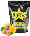 Гейнер Binasport Экстрим Масс EXTREME MASS GAINER 1000 г со вкусом манго-маракуйя