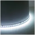 FERON Светодиодная лентаLS520 стабилизированная, 120SMD(2835)/м 9.6Вт/м 24V 20000х10х1.22мм 6000К 41278