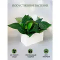Искусственная трава в ящике для дома и офиса, ПоДар. Ок Home