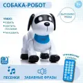 Интерактивный робот-собака IQ BOT Дружок Лакки, пульт, свет и звук