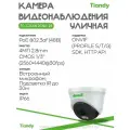 IP камера видеонаблюдения PoE TIANDY TC-C34XN 2GNA-28