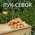 Лук севок Стурон 5 кг. Урожай 2023