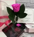 Стабилизированные цветы в стекле, Роза в колбе живая Glamur фуксия , GIFT4YOU