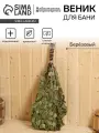 Веник для бани берёзовый Богатырский классический (2024 год сбора)