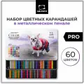 Набор профессиональных цветных карандашей Малевичъ GrafArt PRO, 60 цветов