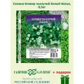Газонная трава семена Клевер ползучий белый Нанук, 0,5кг, Гавриш