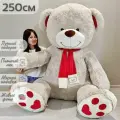 Большой плюшевый медведь, мягкая игрушка мишка Кельвин 250 см, серый кремовый