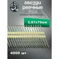 Гвозди реечные 21 градус 2,8/70 мм оцинкованные с кольцевой накаткой RiCnk, 4000 штук