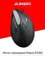 Мышь проводная Rapoo EV200 Black