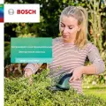 Ножницы для живой изгороди, садовые инструменты, электрические ножницы, USB-зарядка, Bosch EasyShear
