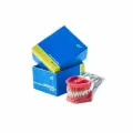 Учебная Модель Челюсти Arma Dental Study Model AD-J 01 (стоматологический фантом) со сменными зубами и твёрдым базисом . Модель со встроенной резьбой для крепления к голове фантома. от NeoHealth