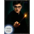 Алмазная мозаика на подрамнике 40x50 Гарри Поттер
