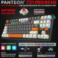 PANTEON T21 PRO RS HS Black-Grey-Ivory (66) Механическая игровая программируемая клавиатура (TKL 80%, подсветка LED RGB, свитчи Outemu Red, 87 кл, HotSwap, USB/Bluetooth/2,4 Ггц, аккумулятор 2000 mAh, ПО)(66)