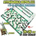 Большая муравьиная ферма Мята XXL basic 26*24см с 2-мя системами увлажнения