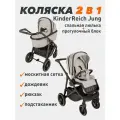 Всесезонная коляска для новорожденных 2 в 1 Jung + дождевик, москитная сетка, рюкзак мамы