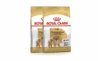 ROYAL CANIN POMERANIAN ADULT 2 шт по 500 г корм для собак породы померанский шпиц в возрасте от 8 месяцев
