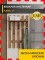 Вешалка настенная в прихожую 60 см с полкой 5 крючков Лана 11 (04) Дуб Вотан