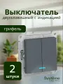 Выключатель двухклавишный с индикацией грифель Atlas Design, 2 шт, Schneider Electric/Systeme Electric ATN000753