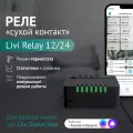 Livi Relay 12/24 Слаботочное реле «сухой контакт»