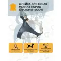 Шлейка для собак мелких пород анатомическая (шлейка-жилетка) кожаная премиум (шея: 24 см; грудь: 32 см)