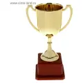 Кубок спортивный 012. Цвет зол 7,8 × 11,1 × 19,5 см 837562
