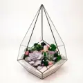 Флорариум с суккулентами Бархатная нежность Капля 22х30см
