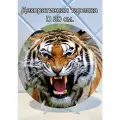 Декоративная тарелка Тигр