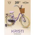 Велосипед двухколесный детский 20, рост 115-130 см, на 4 года 5 лет 7 лет, для девочки, TOPEMOUNT KRISTI