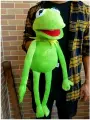 Tinni Toys Мягкая игрушка Лягушонок Кермит Kermit the Frog, 60 см