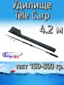 Удилище BoyaBY телескопическое Tele Carp, тест 150-300 грамм, 420 см