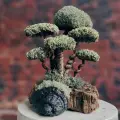 Изысканный подарок Дерево Цетрария / Живой сухоцвет