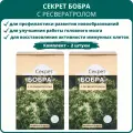 Секрет бобра с ресвератролом, 60 таблеток. - набор 2 штуки