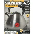 Чайник 4,5 л из нержавейки, матовый со свистком толстое дно HOFFMANN