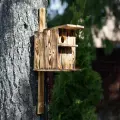 Бельчатник Эко, домик для белок