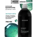 Шампунь для ежедневного ухода KONDOR мята 750 мл