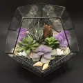 Флорариум Succulenteria Лавандовые сны размер L, с суккулентами, настольный