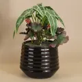 Композиция из искусственных цветов в горшке Alocasia Green 25 см, Kaemingk, 801881-2
