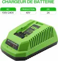 Зарядное устройство 40V2a совместимо с литий-ионным аккумулятором электроинструмента Greenworks40V