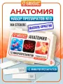 Препараты для микроскопа 12 образцов + 3 предметных и покровных стекла - Анатомия - набор для опытов с микроскопом