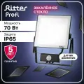 Прожектор светодиодный Ritter Profi 53423 9 70 Вт 7000 Лм 180-240В с датчиком движения холодный белый свет 6500К IP65 черный