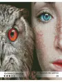 Картина из страз Ты Гений! Девушка и сова