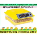 Инкубатор для яиц, автоматический, куриный, домашний, на 56 яиц с автоповоротом, 12/220 вт.