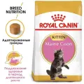 ROYAL CANIN MAINE COON KITTEN 36 для котят мэйн кун (10 + 10 кг)