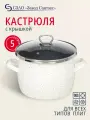 Кастрюля эмалированная сталь, 5 л, с крышкой, крышка стекло, Сантэкс, Гранит цветной, 1-2450111, индукция