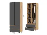 СУПЕР Шкаф 2х створчатый Хелен ШК-01 (0,800х2,100х0,460) Дуб крафт золото - Серый графит