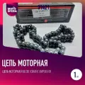 Цепь моторная 66 зв. узкая г. Киров ИЖ Планета