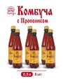 Напиток Комбуча с Прополисом 6 шт х 0,5 л чайный гриб, мёд и прополис